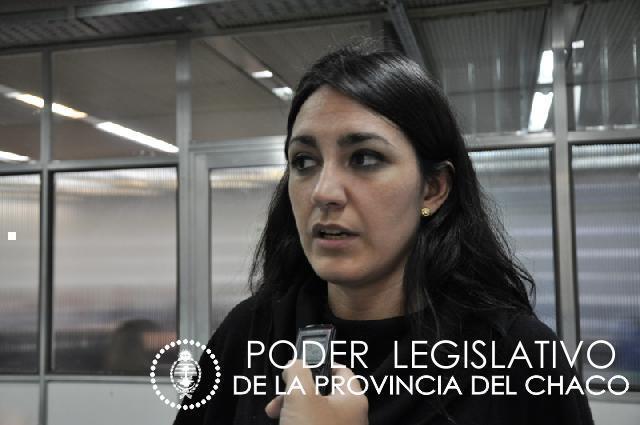 Poder Legislativo del Chaco