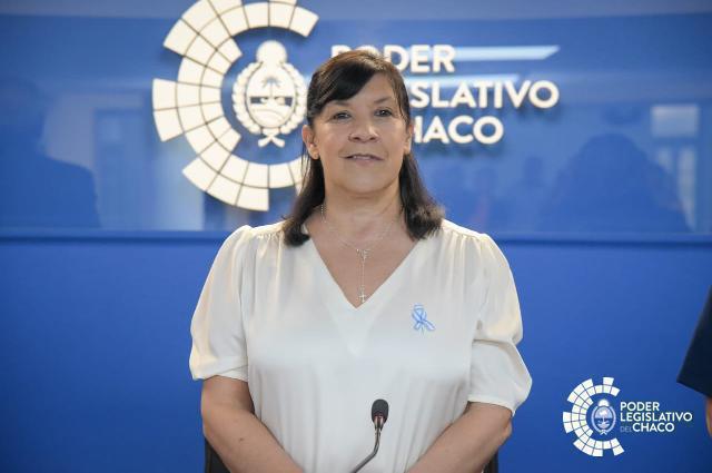 Poder Legislativo del Chaco